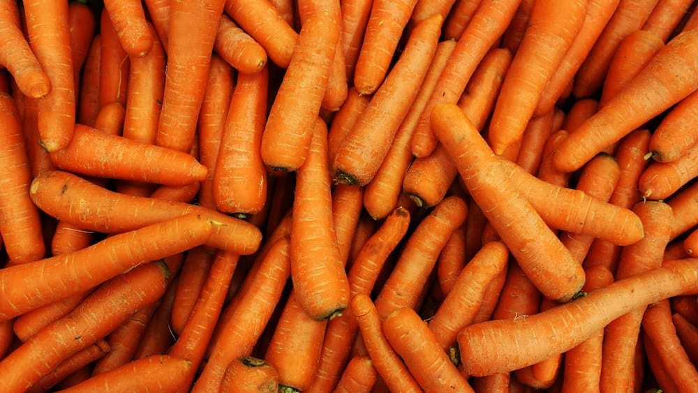 Agriculture: la Suisse bientôt à court d’oignons et de carottes Agriculture: la Suisse bientôt à court d’oignons et de carottes