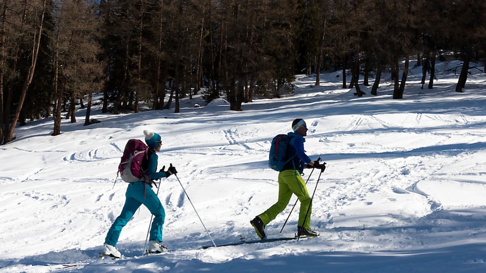 Alpes vaudoises: Deux avalanches à Villars et Gryon, pas de blessé Alpes vaudoises: Deux avalanches à Villars et Gryon, pas de blessé
