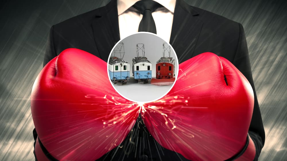 Un curieux litige concernant un train miniature aboutit devant le tribunal Un curieux litige concernant un train miniature aboutit devant le tribunal
