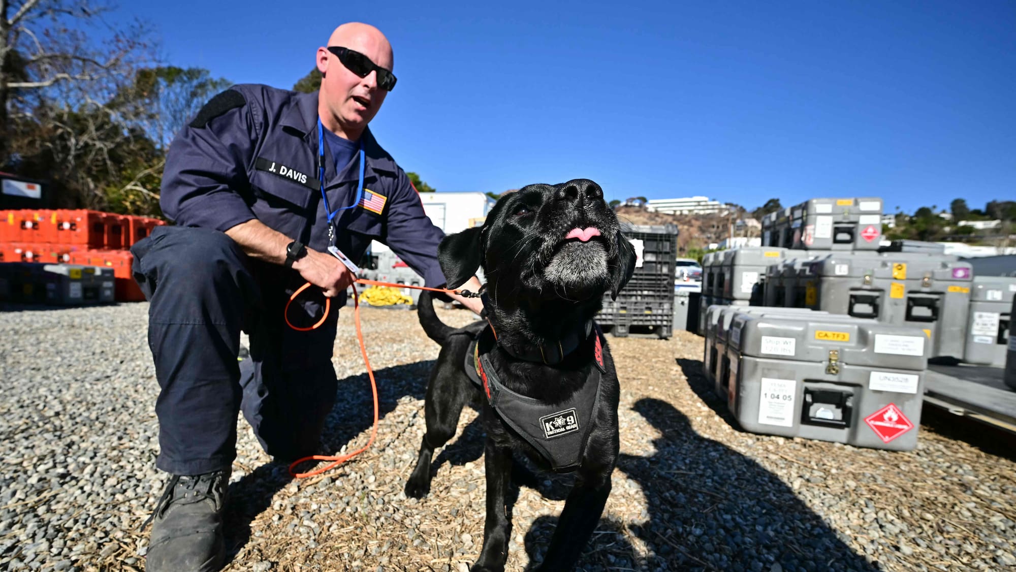 Les chiens secouristes : des héros silencieux dans les incendies de Los Angeles