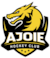 HC Ajoie