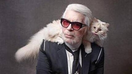 Tod Von Karl Lagerfeld Was Wird Jetzt Aus Katze Choupette Blick