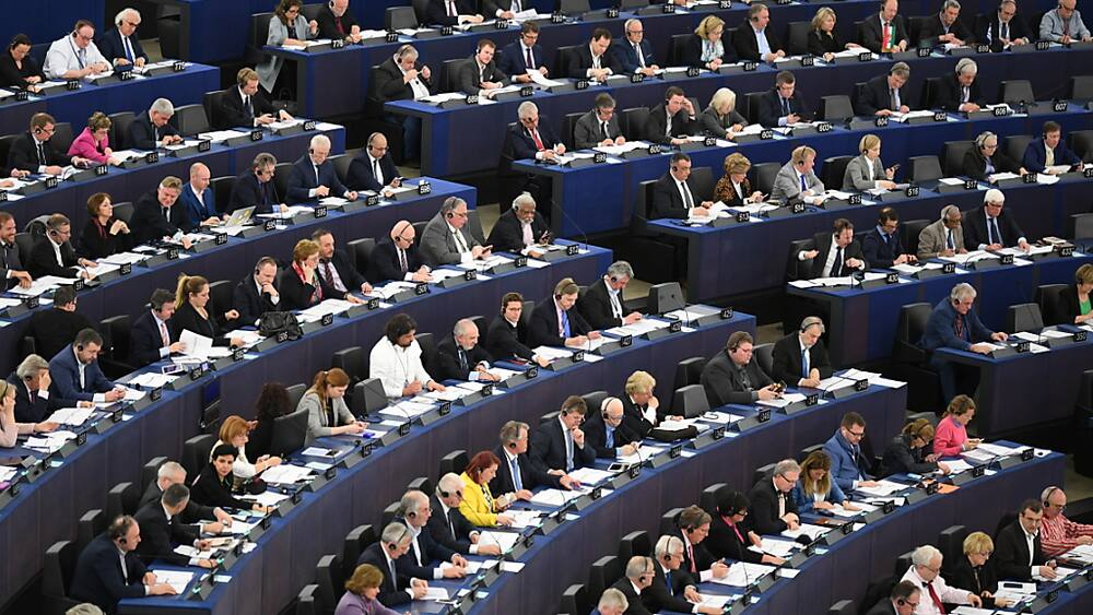 Europawahl 2019 Auch Irland wählt eigene EUVertreter Blick