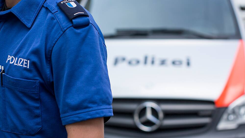 Luzern Hund schnappt nach Gesicht von Kind (2) Blick