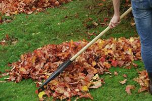 8 Dinge Die Sie Im Herbst Im Garten Tun Mussen Blick