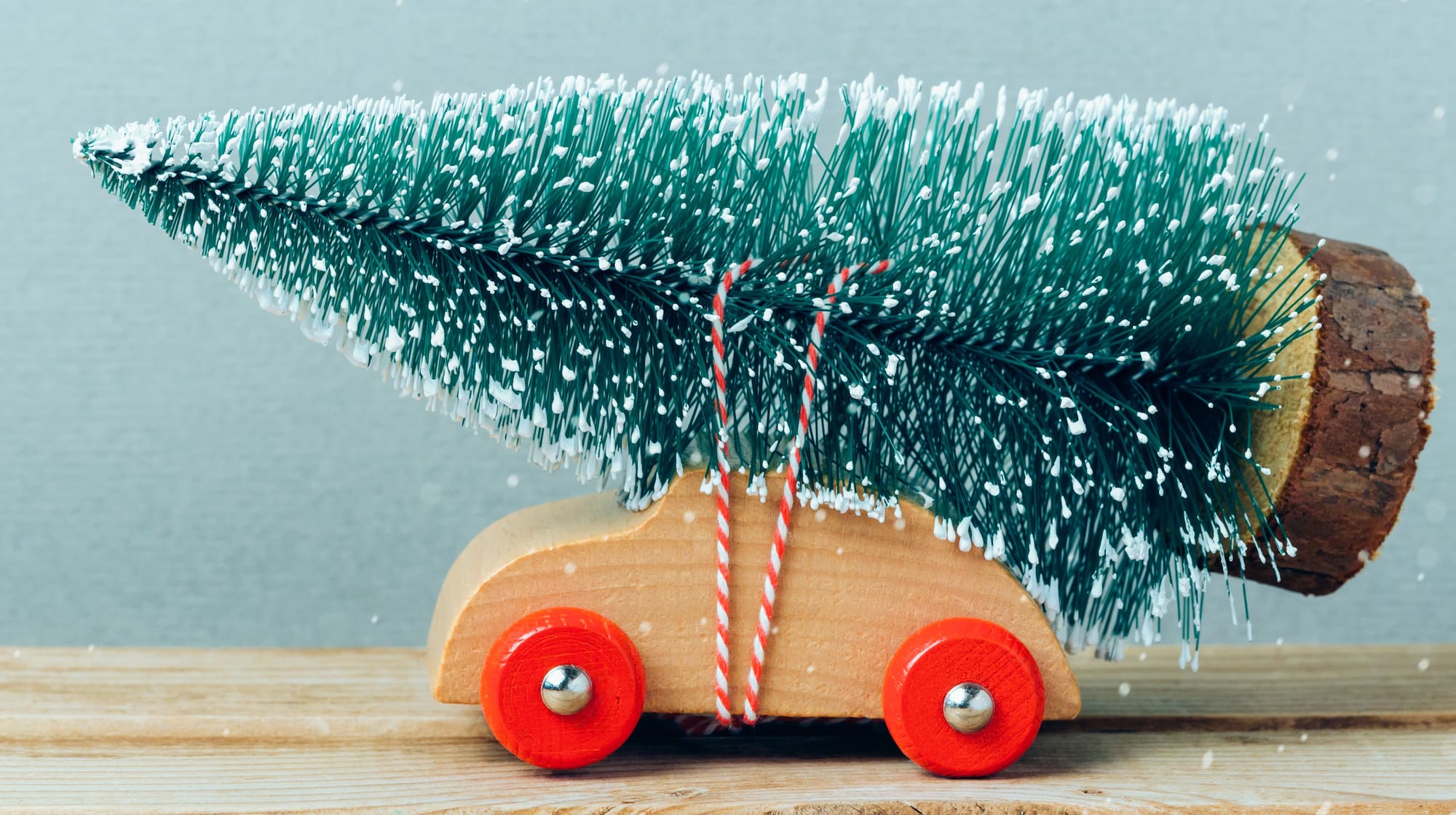 Weihnachtsbaum So transportierst du ihn sicher mit dem Auto Blick