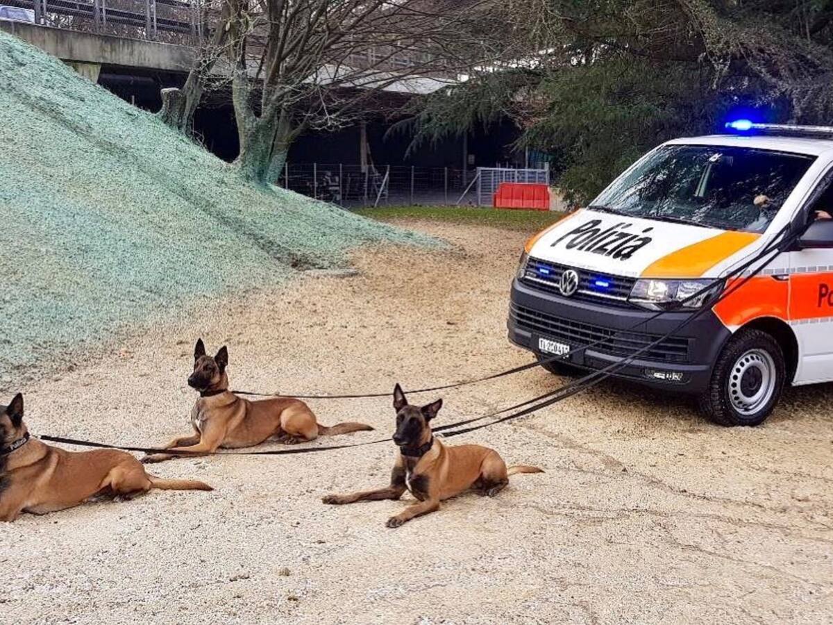 Tessiner Polizei Schickt Witzige Weihnachtsgrusse Blick