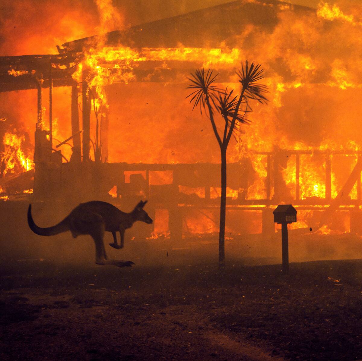 Hochzeit Auf Den Ersten Blick Sex Mit 100 Frauen Gala De