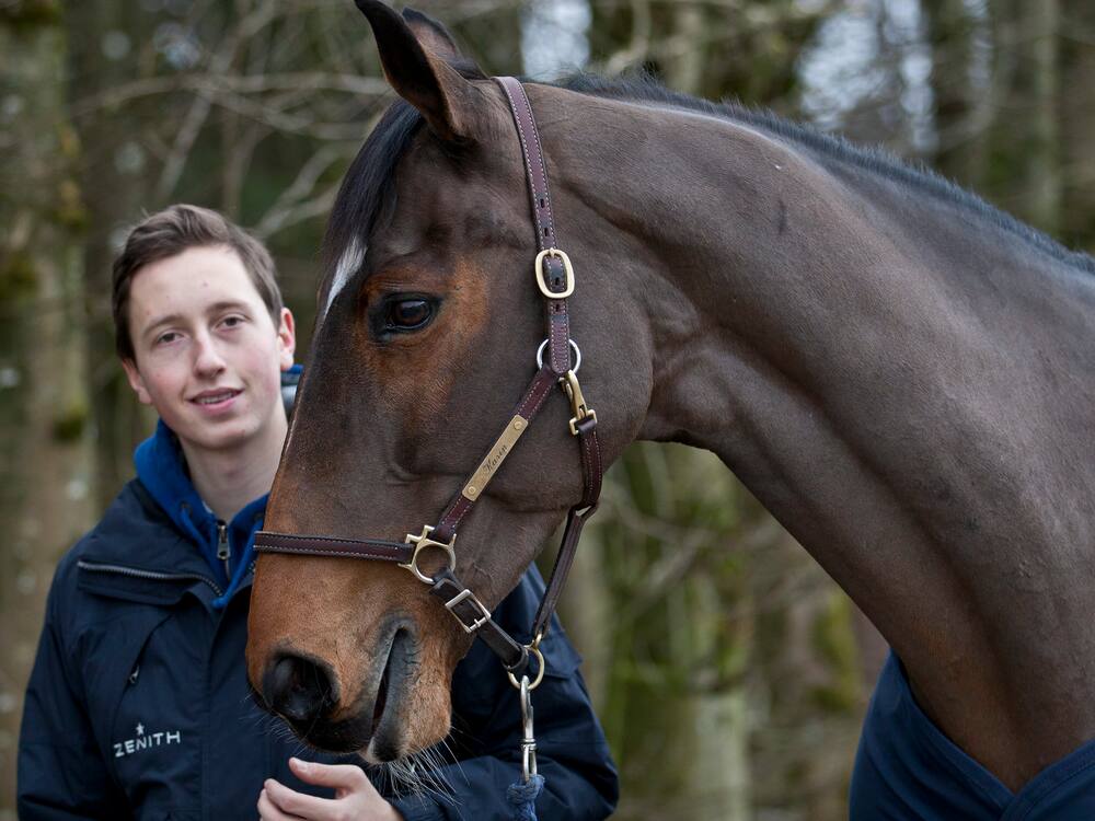Reiten: Nummer 1 Martin Fuchs über andere Premieren - Blick