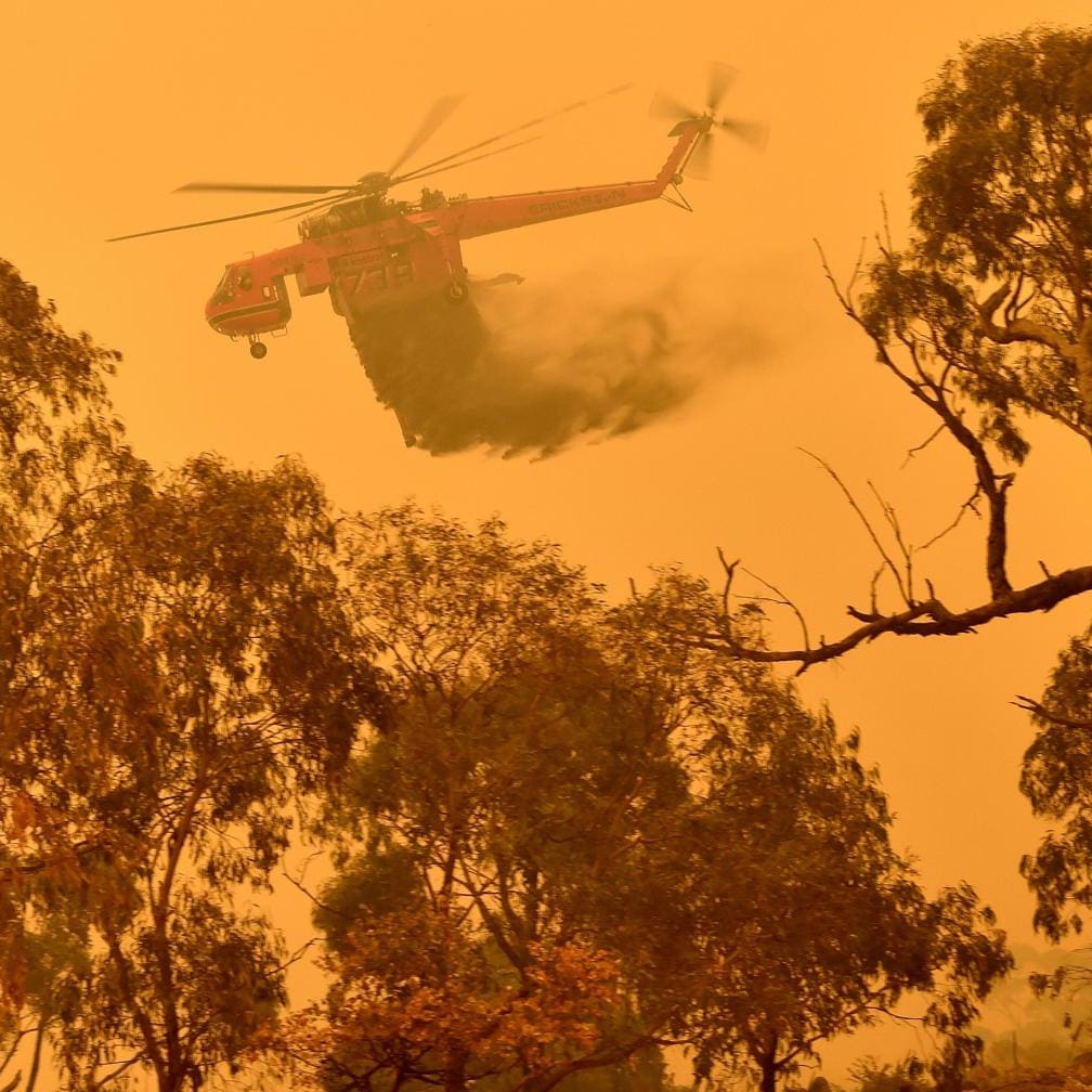 Buschbrande In Australien Regen Hilft Die Feuer Einzudammen