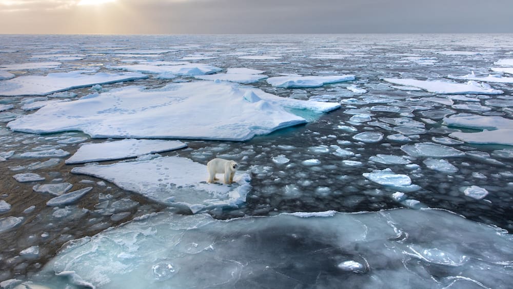 «Die Arktis, wie wir sie heute kennen, ist verloren» - Blick