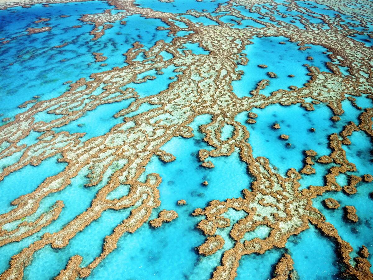 Married At First Sight Australia 2017 Susan Says Sean Isn T The