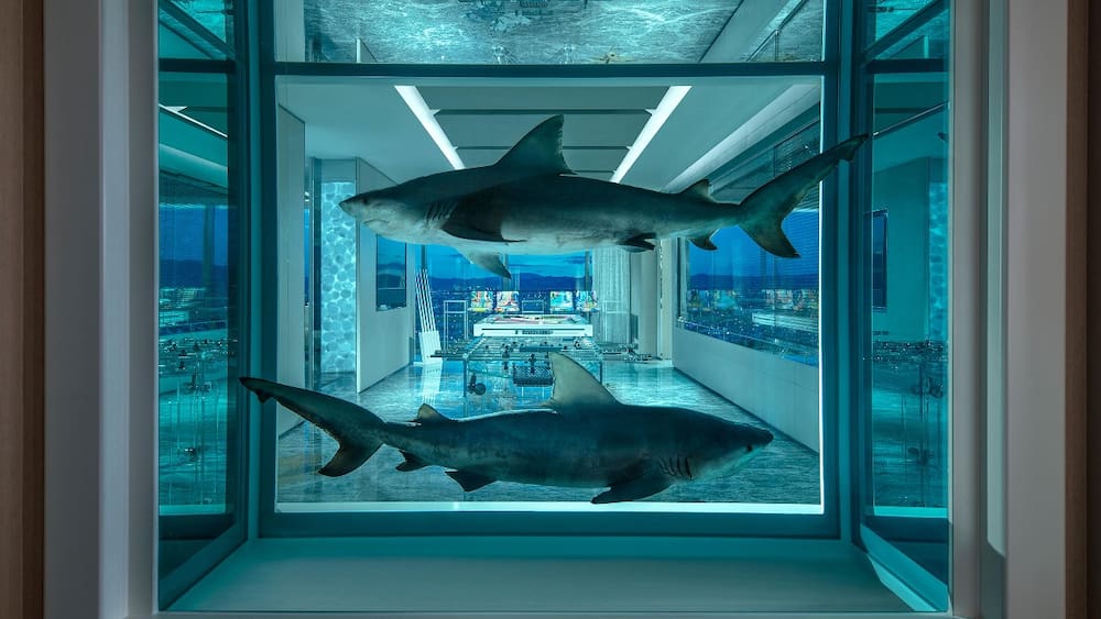 Das sind die 8 teuersten Hotels der Welt Blick Das sind die 8 teuersten Hotels der Welt Blick