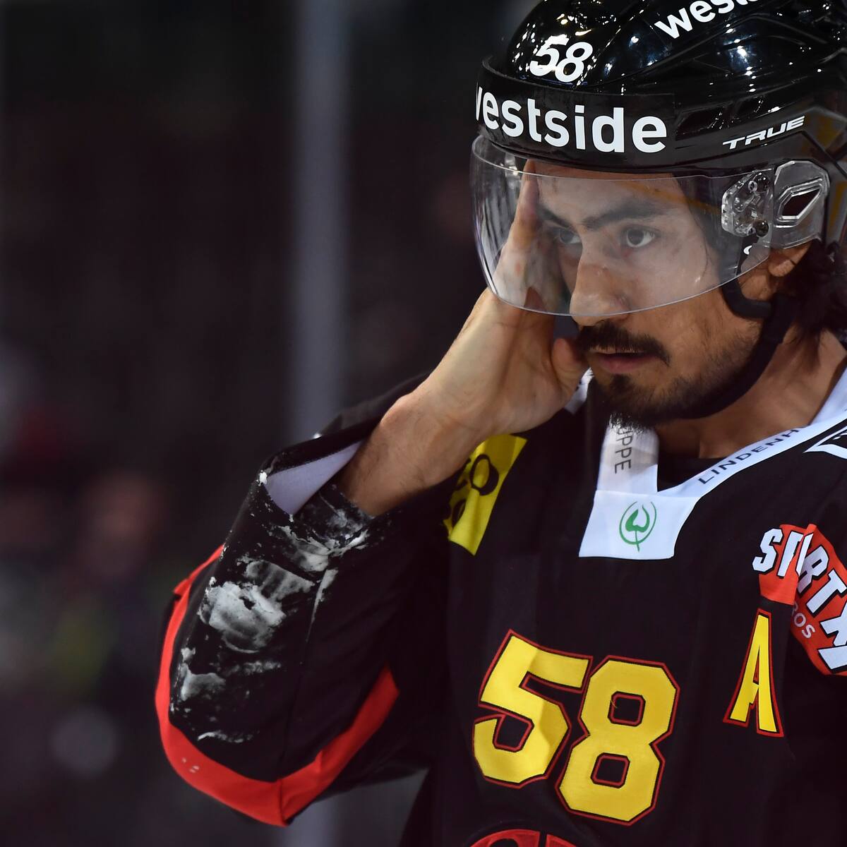 Blick sport eishockey