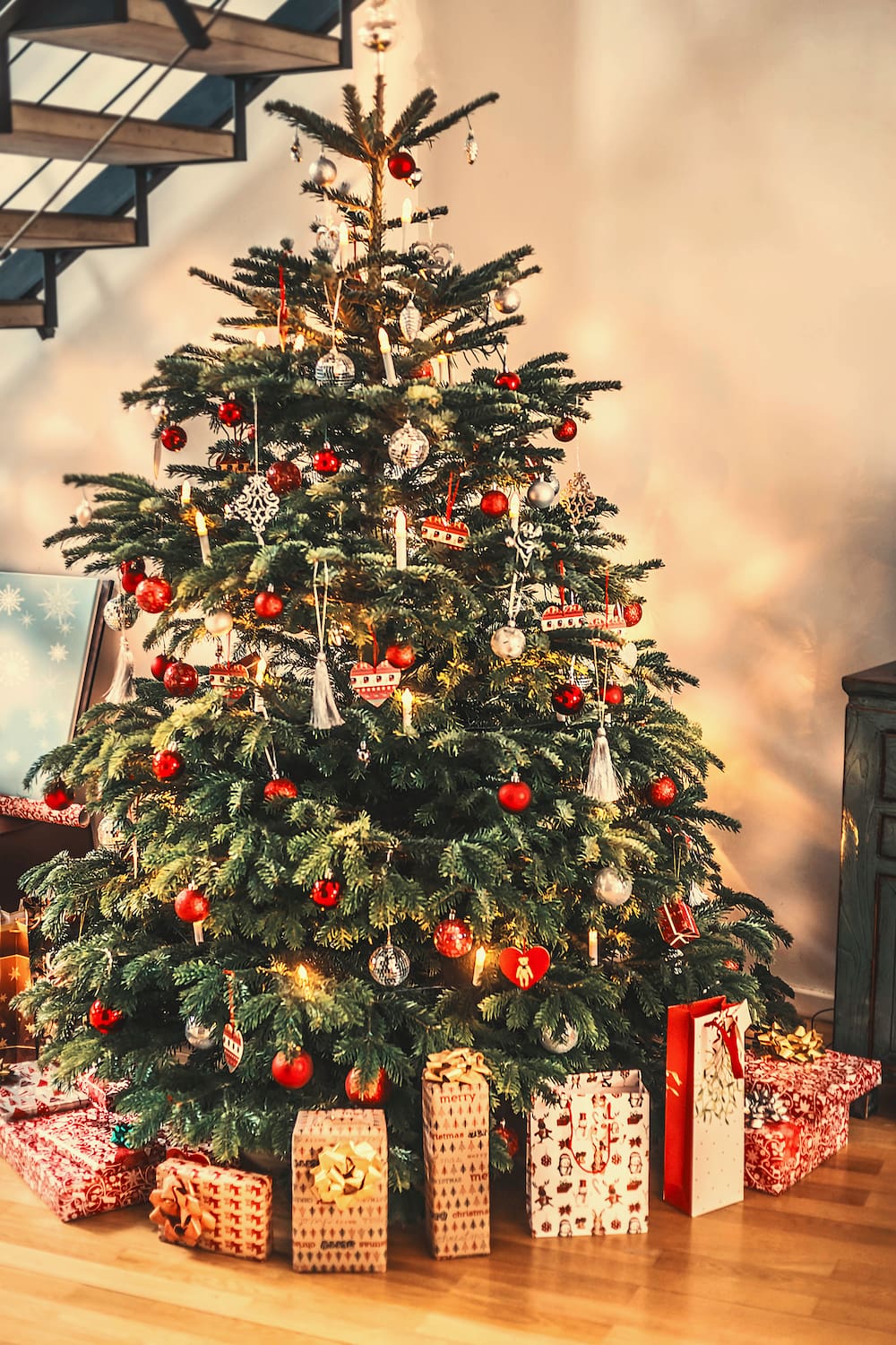 So bleibt der Weihnachtsbaum länger frisch - Blick