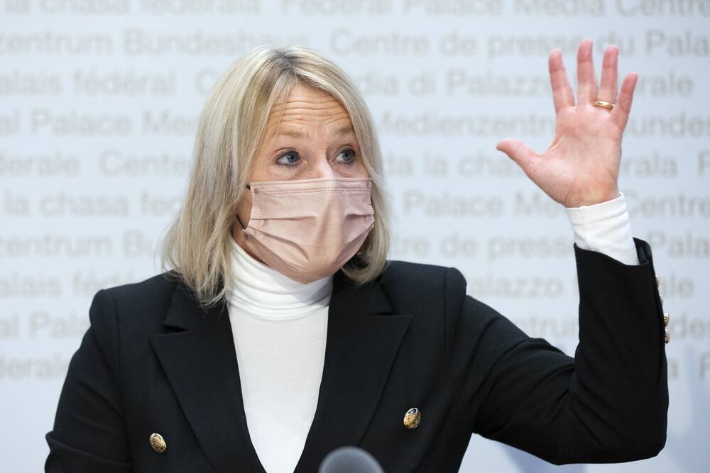 Partai Tengah dengan anggota parlemen Elizabeth Schneider-Schneider juga termasuk dalam komite