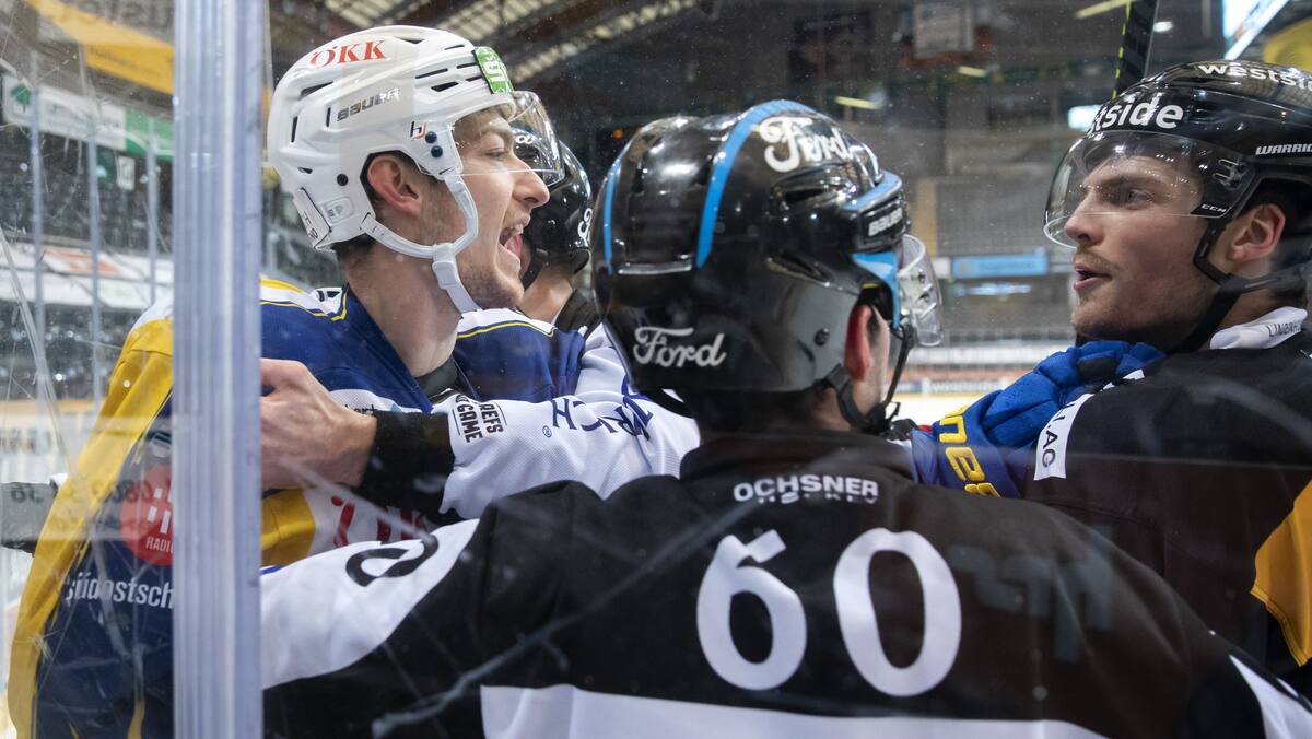 Fabrice herzog check