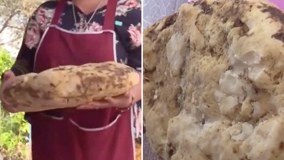 Wertvolles Wal-Erbrochenes in Thailand gefunden - Blick