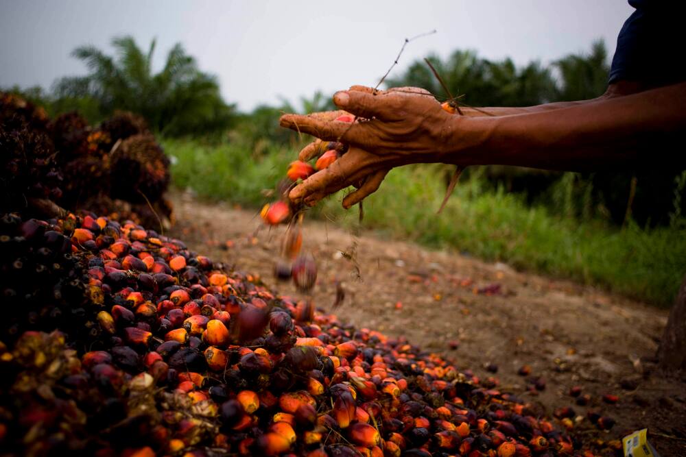 Rakyat Swiss mengiyakan FTA dengan Indonesia.