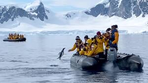 Antarktis: Pinguin spring auf der Flucht vor Orcas in Schlauchboot