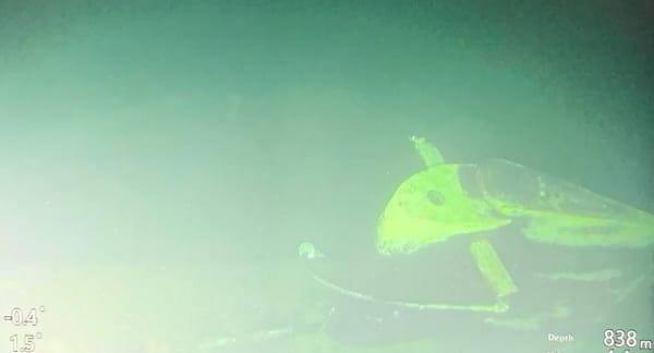 Terputus sekitar 95 km sebelah utara Bali.