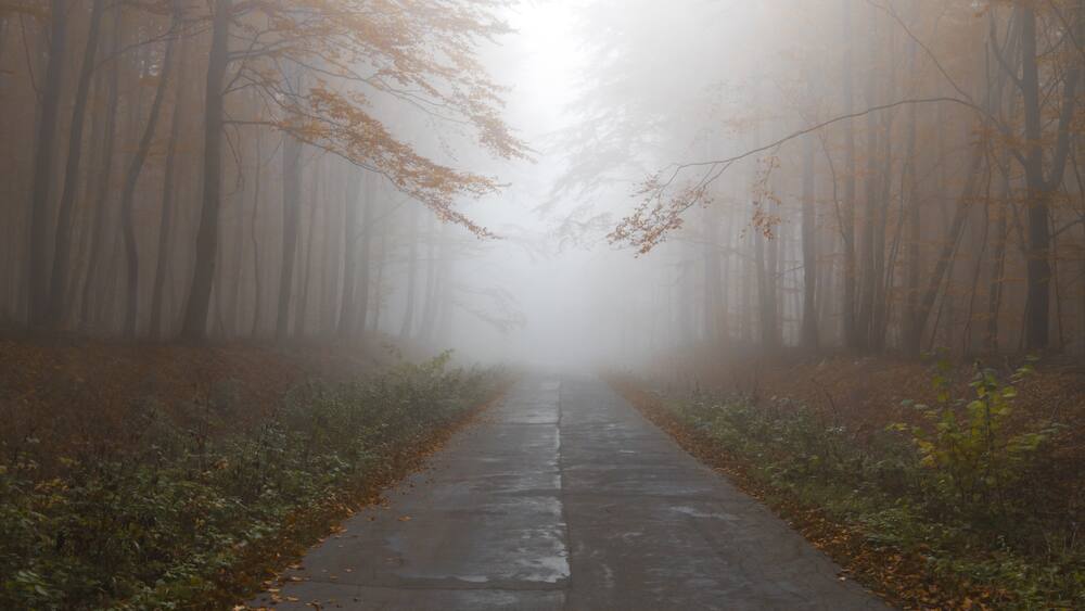 Auto fahren im Nebel: Fehler vermeiden