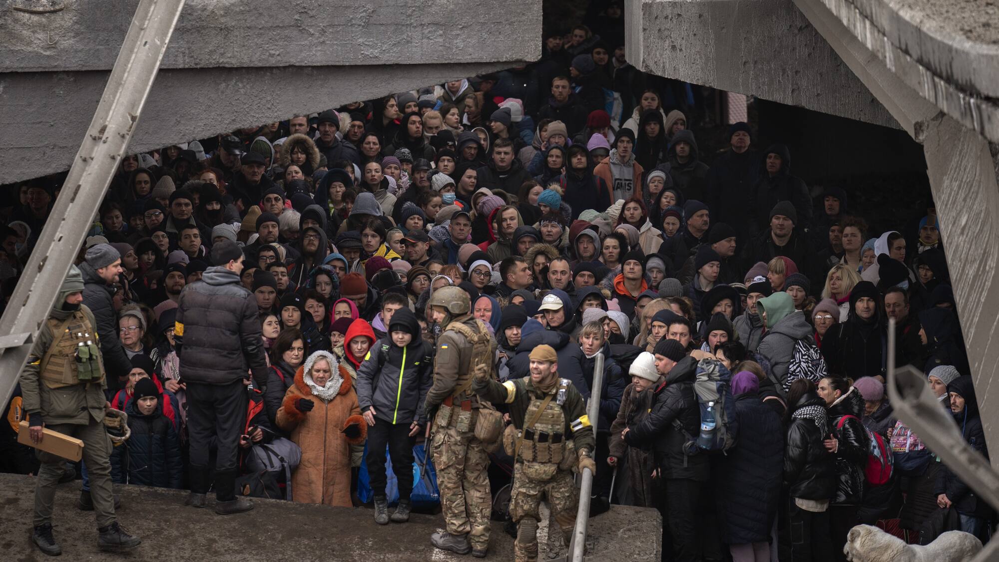 Dramatische Bilder Hier flüchten Menschen aus Kiew über den IrpinFluss