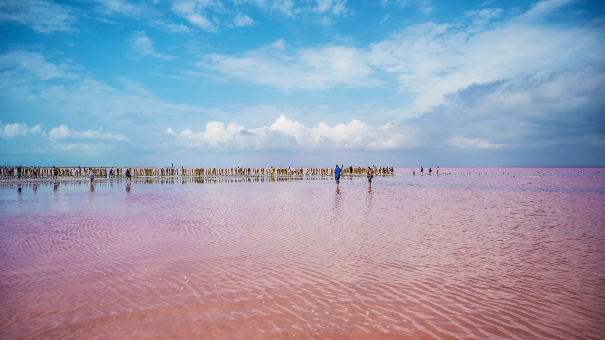 Rosa See: Naturspektakel auf der von Russland annektierten Krim - Blick
