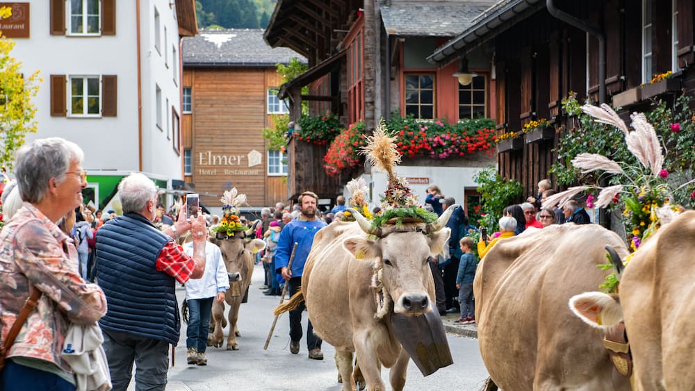 Die schönsten Käsefeste in der Schweiz - Blick