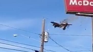 Dallas (USA): Flugzeuge stossen bei Flugshow zusammen – Absturz - Blick