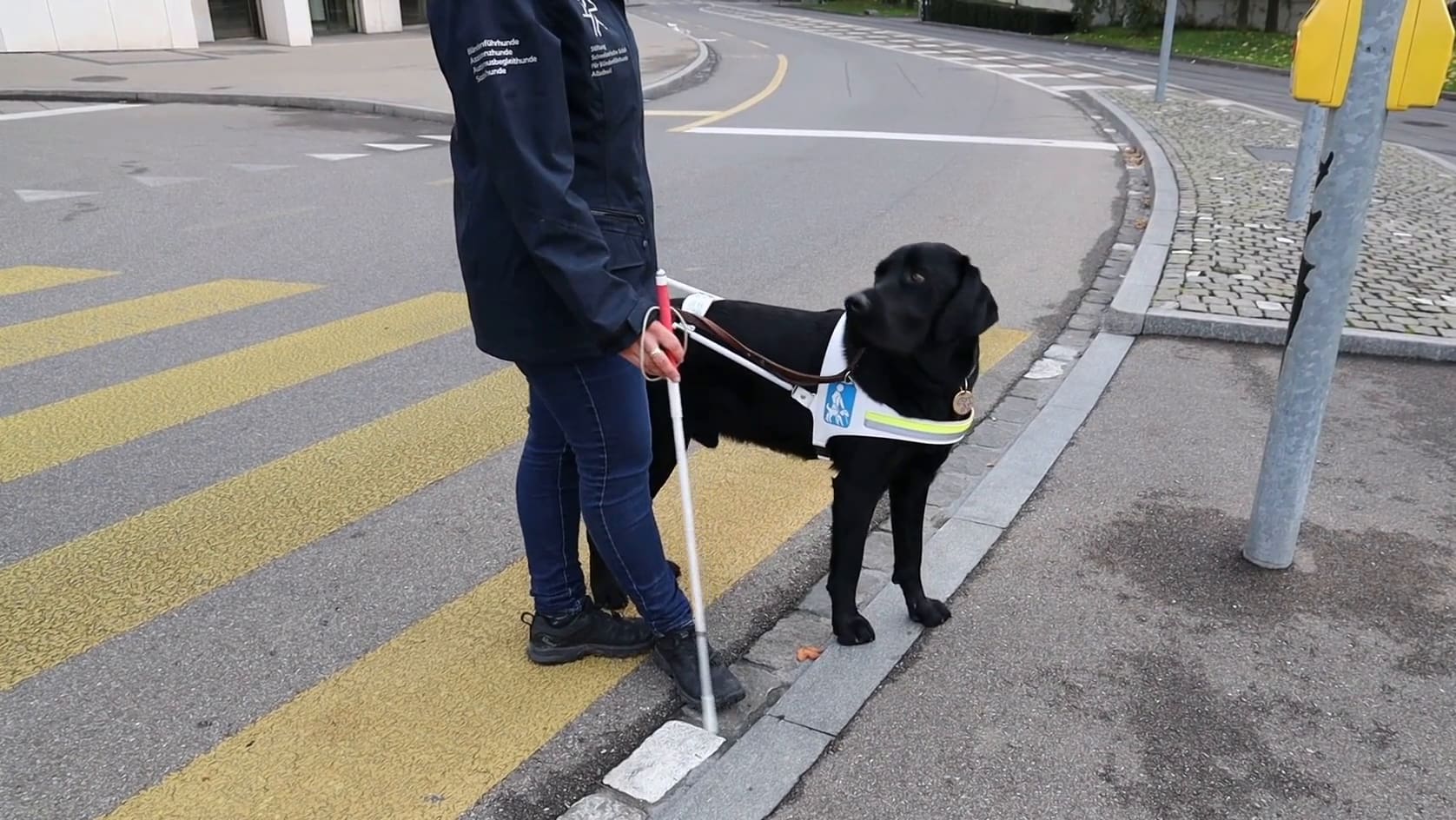Leseprobe: Blindenhund _ Lern- und Übungshilfen für die Grund- und ...