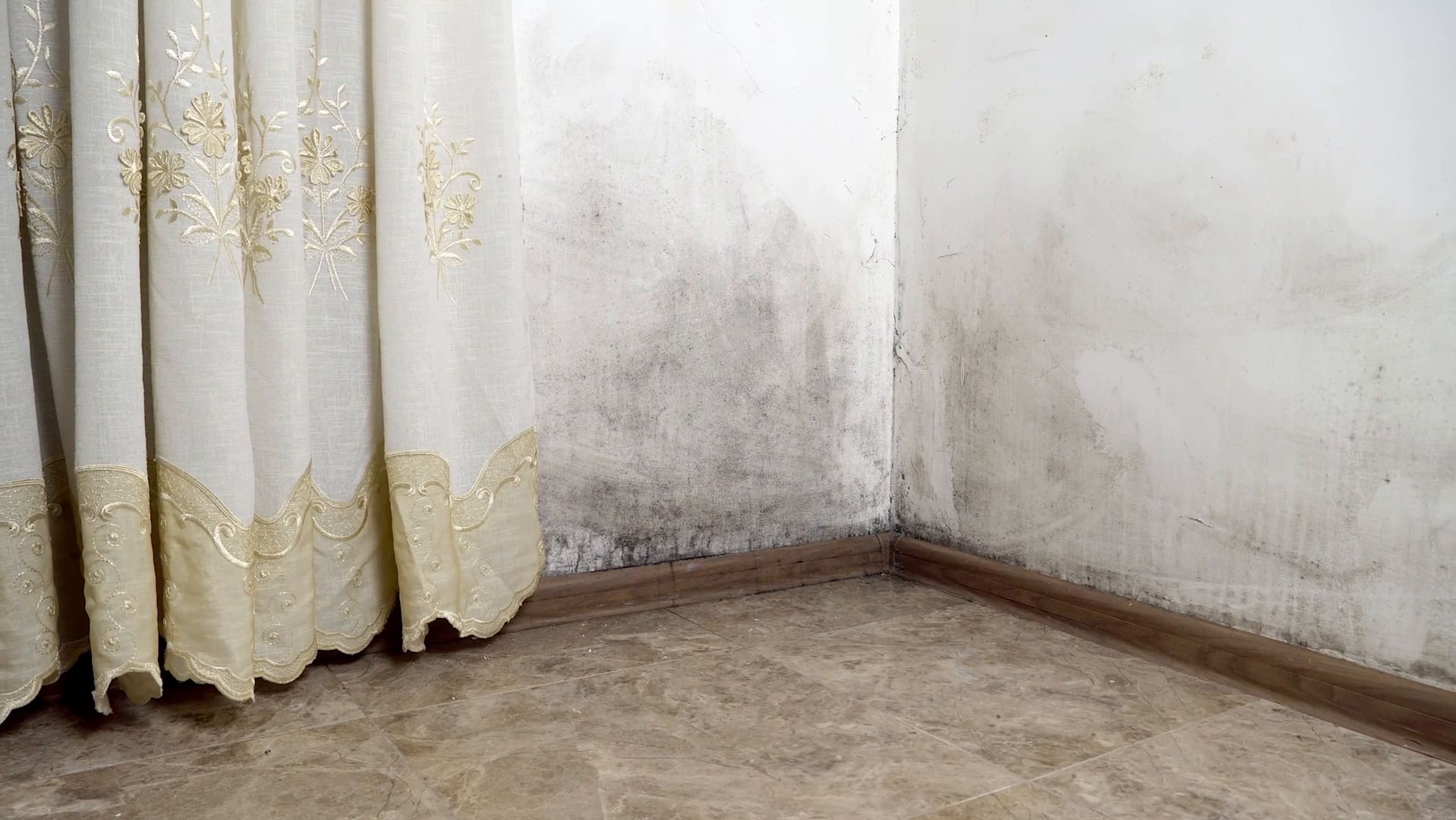 Lüften gegen Schimmel: So verbessern Sie Ihre Gesundheit und Wohnqualität