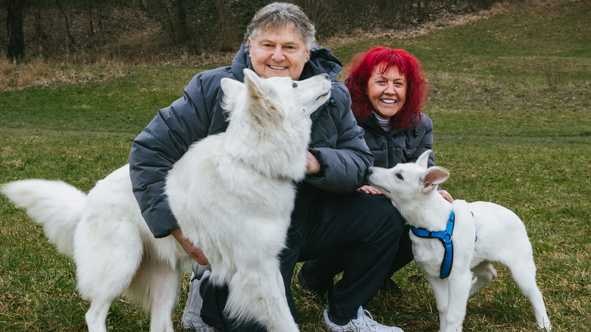 Die Canepas sind Botschafter des Hundes Blick