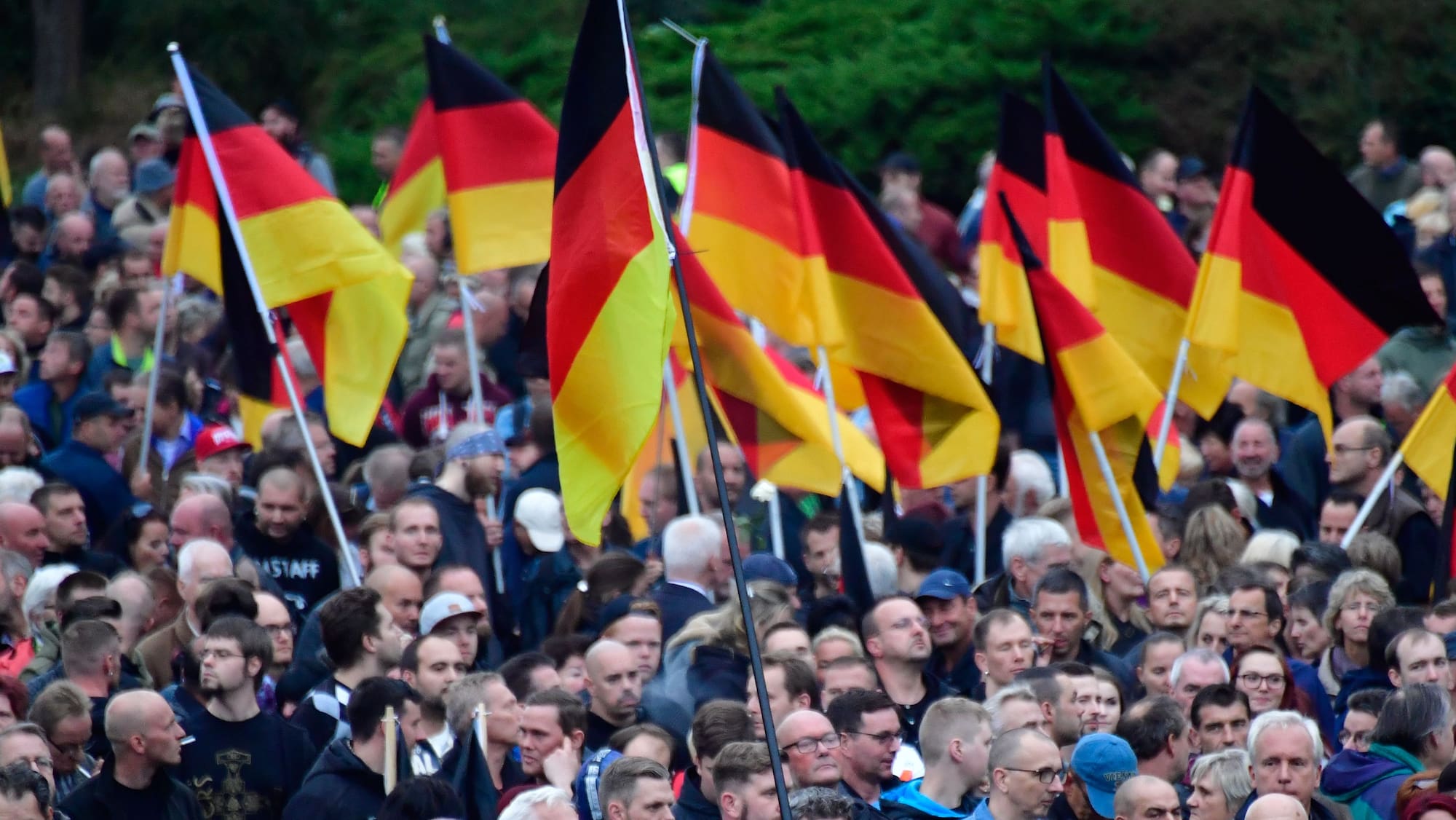 AfD, FPÖ, Finnenpartei – Rechtsparteien in Europa erstarken - Blick