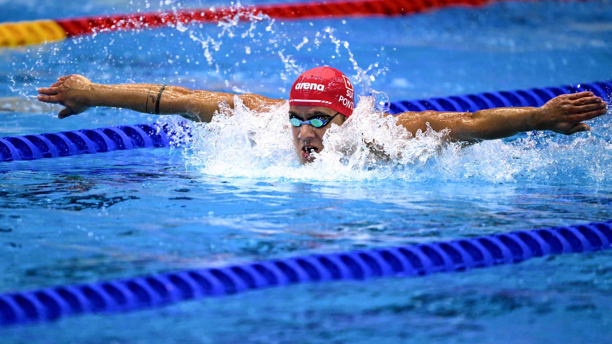 Schwimmen: Noè Ponti verpasst an der WM in Japan den Final - Blick Schwimmen: Noè Ponti verpasst an der WM in Japan den Final - Blick