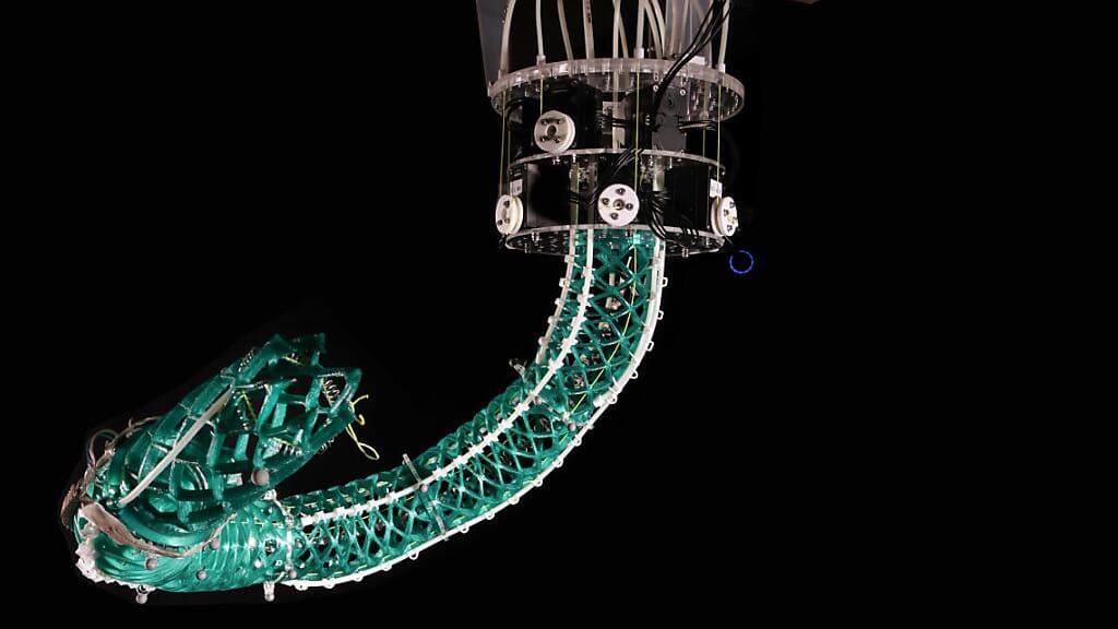 Schweizer Forscher entwickeln einen weichen Roboter Blick