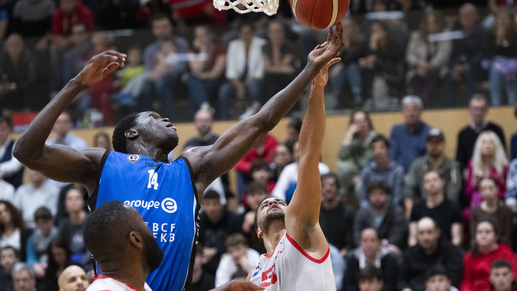 Friburg Olympic nur noch einen Sieg von der Champions League entfernt