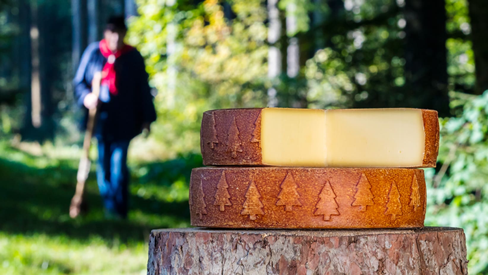 Die besten Schweizer Käse bei Swiss Cheese Awards ausgezeichnet - Blick