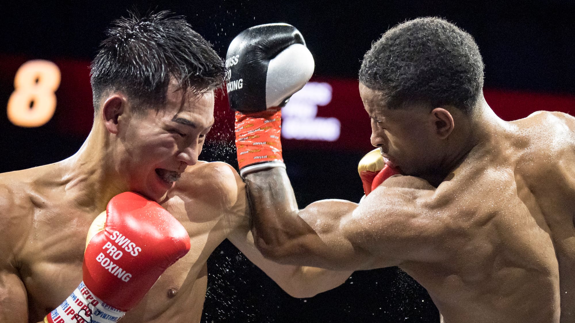 Boxing Day: Trainer-Legende Angelo Gallina klagt über mangelnde Unterstützung