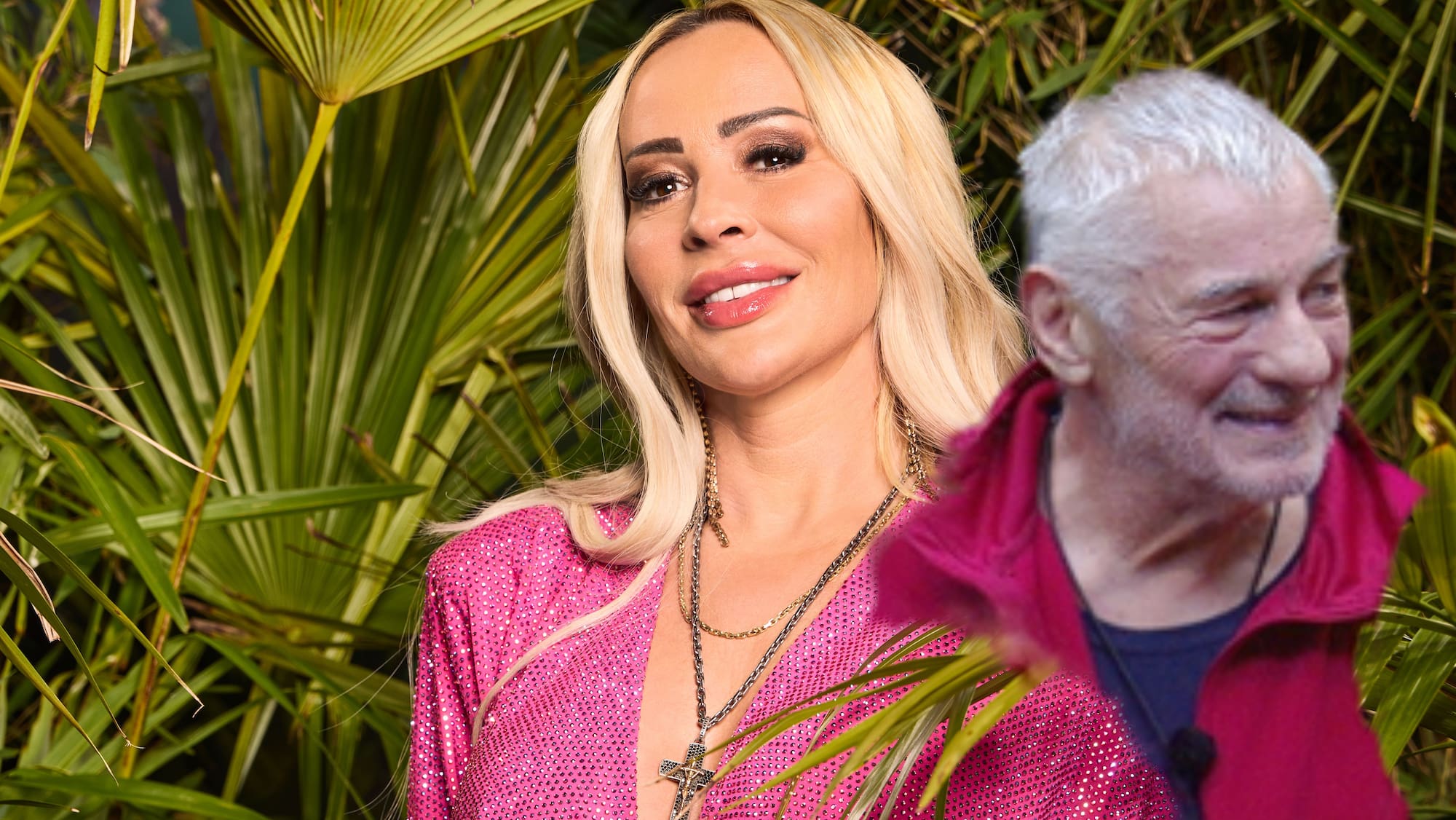 Dschungelcamp: Diese Stars kämpften mit gesundheitlichen Problemen