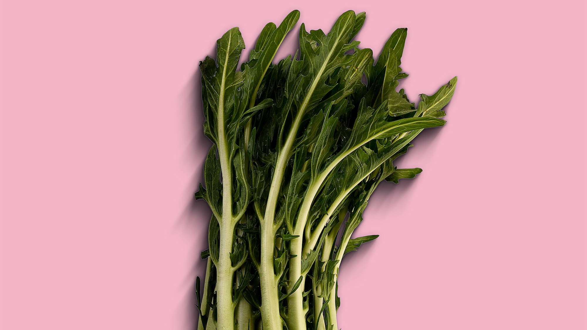 Die 30 Gesündesten und Nachhaltigsten Lebensmittel der Zukunft: Gesunde Ernährung für eine Bessere Gesundheit und Umwelt