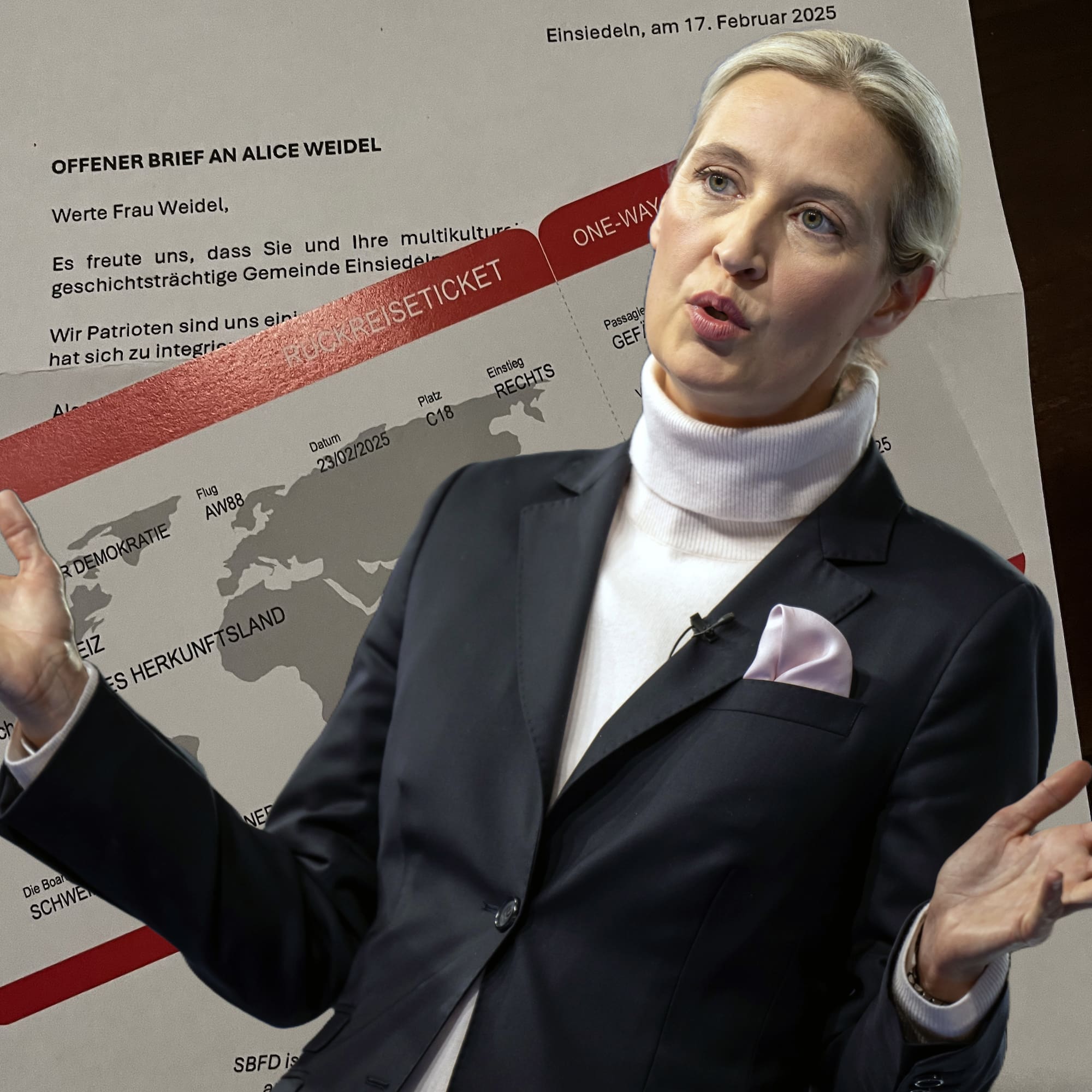 Hier bricht Weidel das ZDF-Interview ab