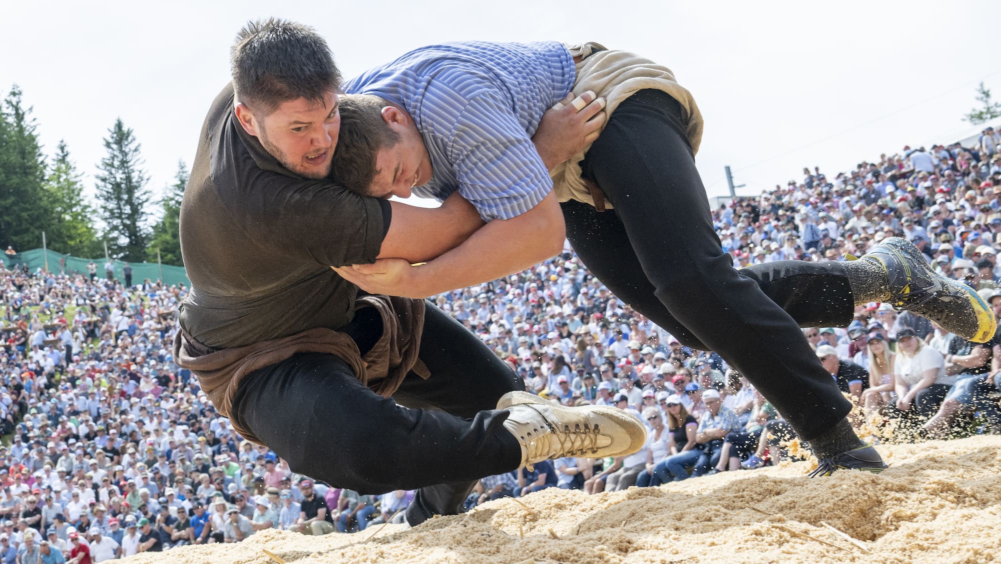 Schwing-Sensation: Schwander plant Coup gegen die Königsdisziplin – Sein verrückter Plan enthüllt!