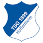 TSG Hoffenheim TSG Hoffenheim