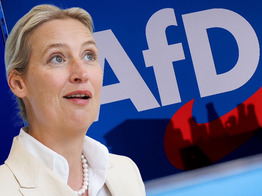 So konfrontieren deutsche Politiker Alice Weidel mit der Schweiz - Blick