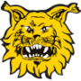 Ilves Tampere Ilves Tampere