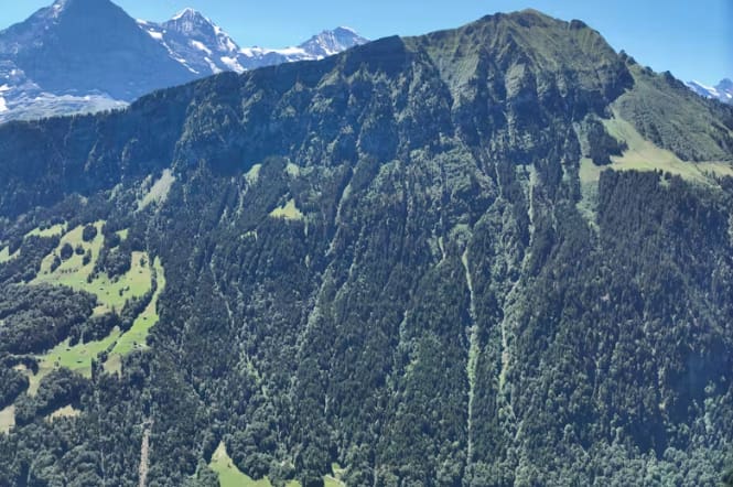 Basejumper (†38) stürzt am Lütschental BE in den Tod