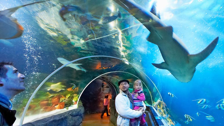 Sea Life Konstanz Perfektes Ausflugsziel F rs Wochenende Blick sea-life-konstanz-perfektes-ausflugsziel-f-rs-wochenende-blick