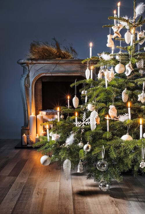 Tipps vom Profi: So schmücken Sie Ihren Christbaum!