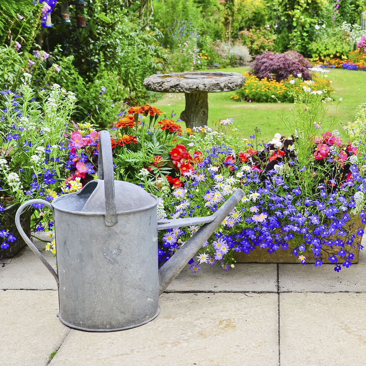 Garten Und Pflanzen Gartengestaltung Idee